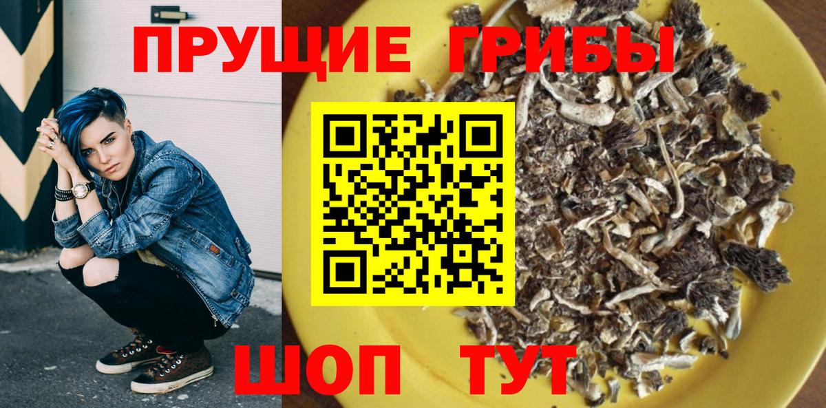Псилоцибиновые грибы мухоморы Знаменск