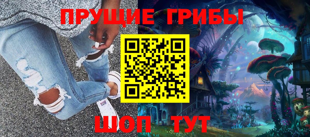 где купить наркоту  Вход с VPN  Знаменск  Псилоцибиновые грибы GOLDEN TEACHER 
